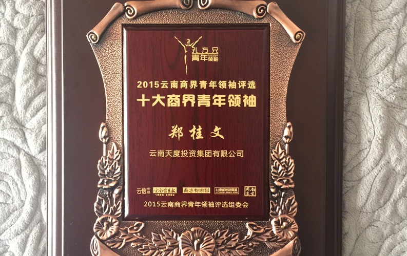 在&ldquo;互聯(lián)網(wǎng)大時代&rdquo;的背景下，天度作為本土很大和很有名的互聯(lián)網(wǎng)服務(wù)企業(yè)，為近萬家傳統(tǒng)企業(yè)轉(zhuǎn)型互聯(lián)網(wǎng)+提供了服務(wù)和幫助，獲此獎項后，我們將再接再厲，創(chuàng)造更高的社會價值